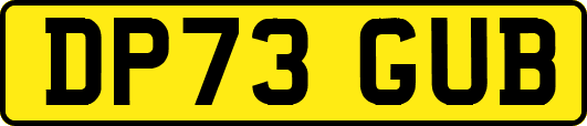 DP73GUB