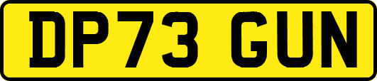 DP73GUN