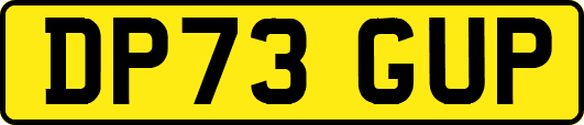 DP73GUP