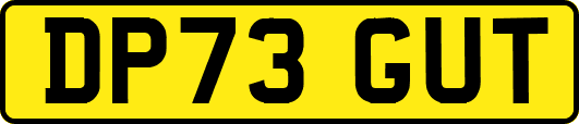 DP73GUT