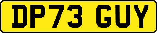 DP73GUY
