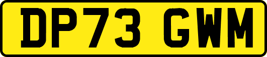 DP73GWM