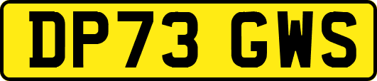 DP73GWS
