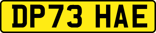 DP73HAE
