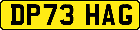 DP73HAG