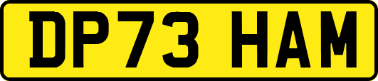 DP73HAM