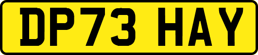 DP73HAY