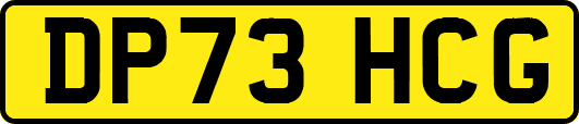 DP73HCG