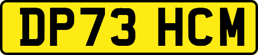DP73HCM