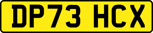 DP73HCX