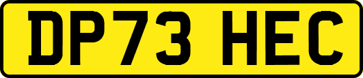 DP73HEC