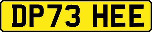 DP73HEE
