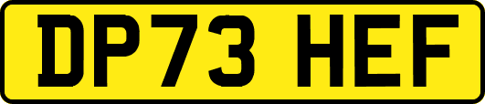 DP73HEF