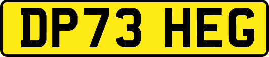 DP73HEG