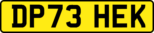 DP73HEK