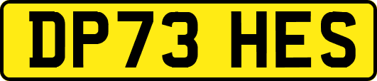 DP73HES