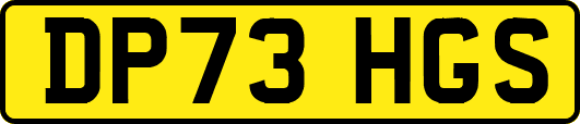 DP73HGS