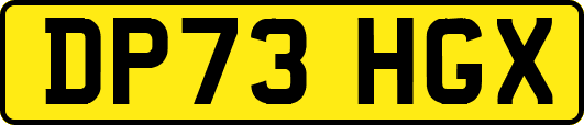 DP73HGX