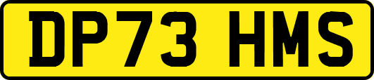 DP73HMS