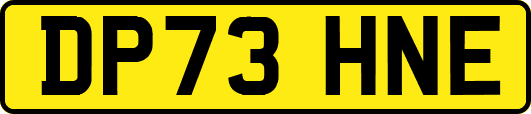 DP73HNE