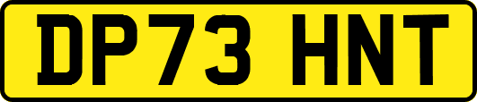 DP73HNT