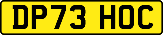 DP73HOC