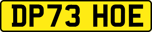 DP73HOE