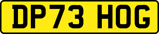 DP73HOG
