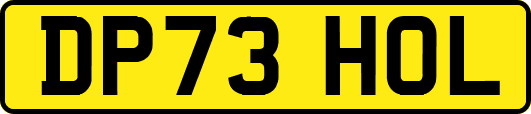 DP73HOL