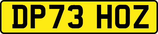 DP73HOZ
