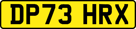 DP73HRX