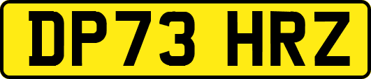 DP73HRZ