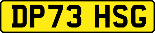 DP73HSG