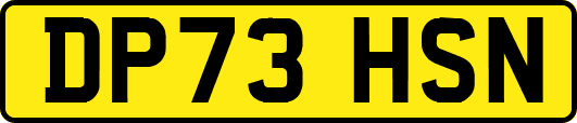 DP73HSN
