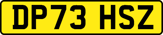 DP73HSZ
