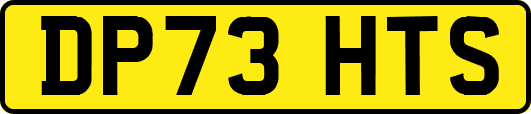 DP73HTS