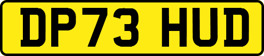 DP73HUD