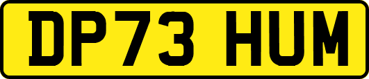 DP73HUM
