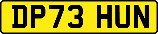 DP73HUN