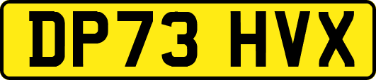 DP73HVX