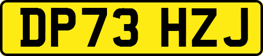 DP73HZJ