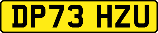 DP73HZU