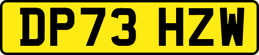 DP73HZW