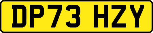 DP73HZY