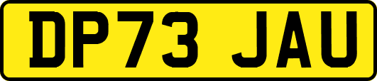 DP73JAU