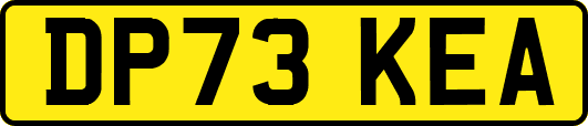 DP73KEA