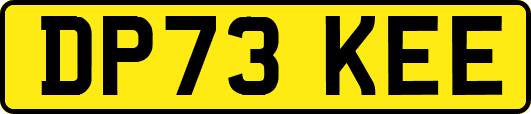 DP73KEE