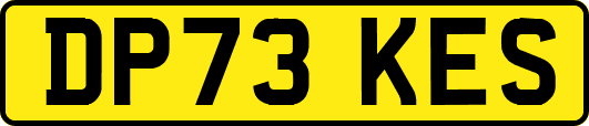DP73KES