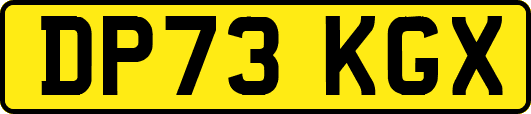 DP73KGX