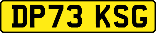 DP73KSG